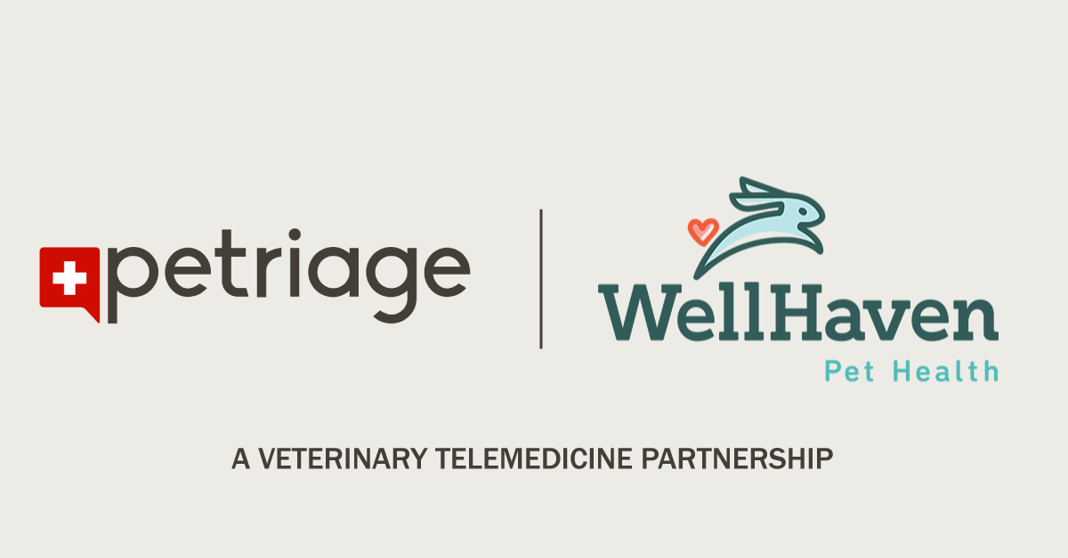 Wellhaven store pet health